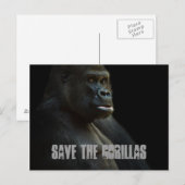 Die Gorillas gerettet Postkarte (Vorne/Hinten)
