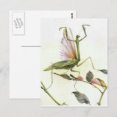DIE GOTTesanbeterin Postkarte (Vorne/Hinten)