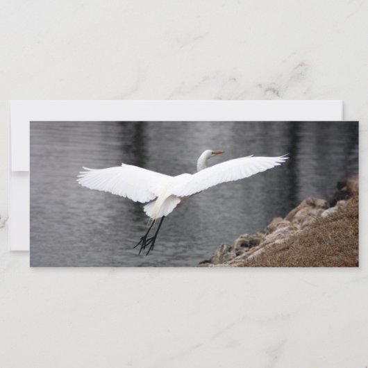 Die Gotteskarte (Rückseite)