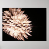 Die Graceful Poster (Vorne)