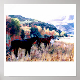 DIE GRAINFRAU COMETH POSTER