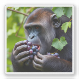 Die "GrAPE" Aufkleber