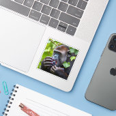 Die "GrAPE" Aufkleber (Laptop mit iPhone)