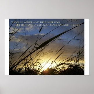 Die Grashalterung Poster