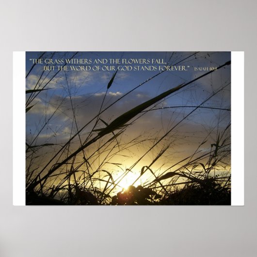 Die Grashalterung Poster (Vorne)