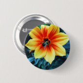 "Die Graubbe" Button (Vorne & Hinten)