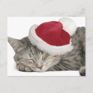 Die graue Katze schläft in einer Kappe des neuen Feiertagspostkarte
