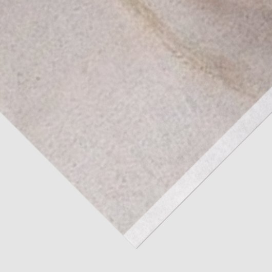 Die graue Königin rechts Seidenpapier (Ausschnitt)