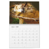 Die grauen Wölfe von Yellowstone Kalender (Mär 2027)