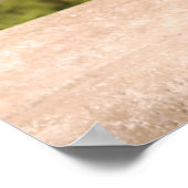 die Graulampe vor dem Bestiencasle Poster (Ecke)