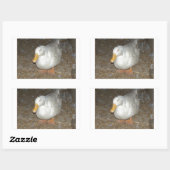 Die grausamste Ente auf Erden Rechteckiger Aufkleber (Blatt)