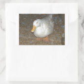 Die grausamste Ente auf Erden Rechteckiger Aufkleber (Tasche)