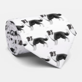 Die Grenzcollie-Krawatte Krawatte (Gerollt)