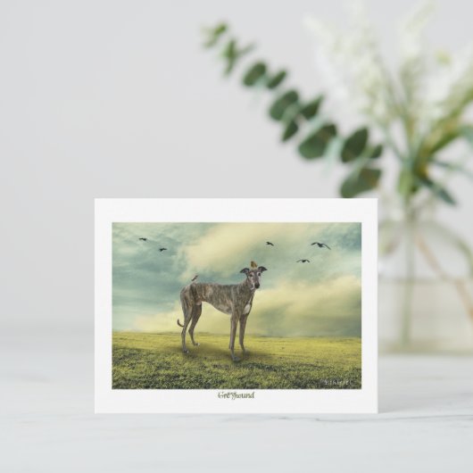 Die Greyhound Postkarte (Stehend Vorderseite)