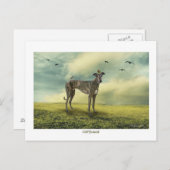 Die Greyhound Postkarte (Vorne/Hinten)