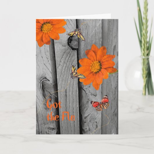 Die Grippe-Get Well-Card mit Orange Daisies got Karte (Vorderseite)