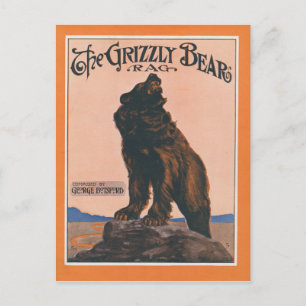 Die Grizzlybären-Rag Postkarte