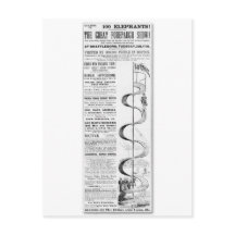 Die großartige Show-Werbung