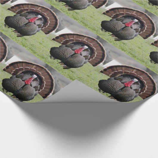 Die großartige Türkei Geschenkpapier (Ecke)