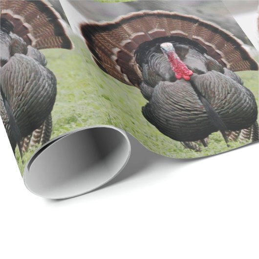 Die großartige Türkei Geschenkpapier (Rolleneckpunkt)