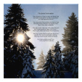 Die große Anspielung - Sonnenlicht im Pinienwald Fotodruck (Vorne)