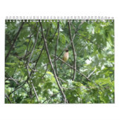 Die große Außenanlage Kalender (Titelbild)