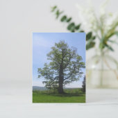 die große Eiche Postkarte (Stehend Vorderseite)
