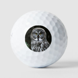 Die große graue Eule ist 6 gbcna Golfball