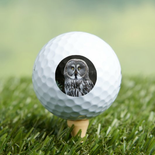 Die große graue Eule ist 6 gbcna Golfball (Insitu T-Shirt)