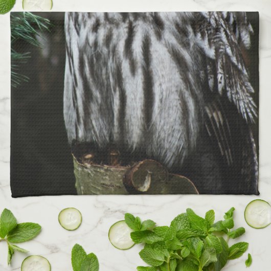 Die große graue Owl Ktcnm Geschirrtuch (Gefaltet)