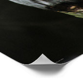 Die große graue Owl Wapcna Poster (Ecke)