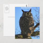 Die große Hornschale Postkarte (Vorne/Hinten)