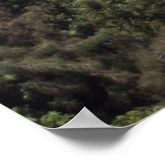 Die große Insel - Hawaii Poster (Ecke)