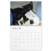 Die große Katzenbedrohung Kalender (Feb 2027)