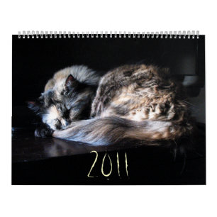 Die große Katzenbedrohung Kalender