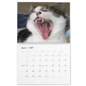 Die große Katzenbedrohung Kalender (Mär 2027)