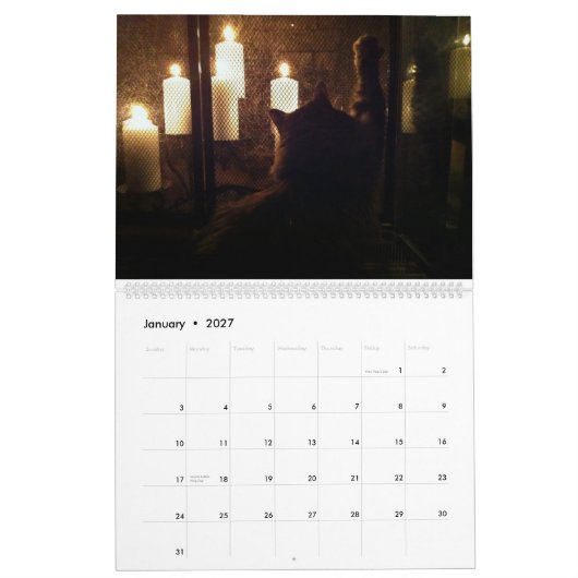Die große Katzenbedrohung Kalender (Jan 2027)