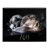 Die große Katzenbedrohung Kalender (Titelbild)