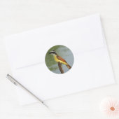 Die große Kiskadee Runder Aufkleber (Umschlag)