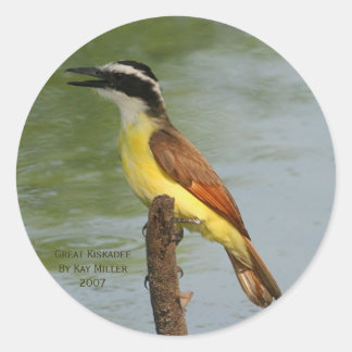 Die große Kiskadee Runder Aufkleber
