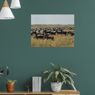 Die Große Migration – Afrikanisches Wildebeest-Fot Poster