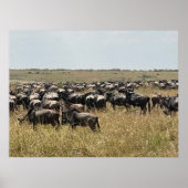 Die Große Migration – Afrikanisches Wildebeest-Fot Poster (Vorne)