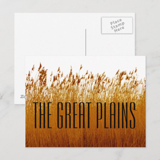 Die große Postkarte (Vorne/Hinten)