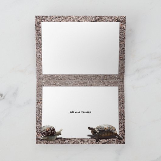 Die große Schildkröte und das Schneckenrennen Karte (Innenseite)