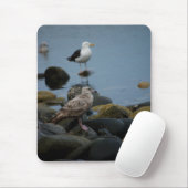 Die große schwarz-gestützte Gull-Mousepad Mousepad (Mit Mouse)