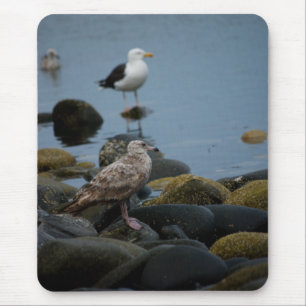 Die große schwarz-gestützte Gull-Mousepad Mousepad