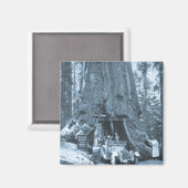 Die großen Bäume der Mariposa-Grove Magnet (Vorderseite/Rückseite)