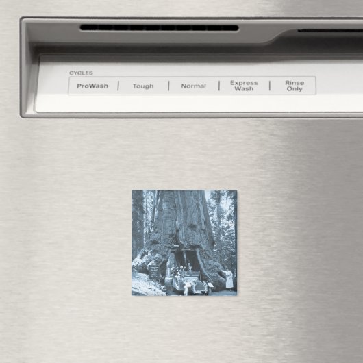 Die großen Bäume der Mariposa-Grove Magnet (In Situ (Geschirrspüler))