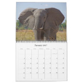 DIE GROSSEN FÜNF KALENDER (Jan 2027)