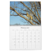 DIE GROSSEN FÜNF KALENDER (Feb 2027)